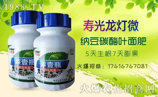 【壽光龍燈】祝全國朋友新年快樂!鼠年大吉!身體健康!財(cái)源廣進(jìn)!
