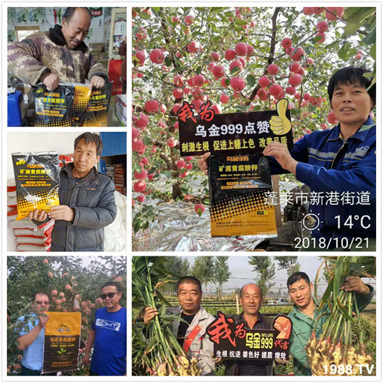 【新疆黑色生態(tài)】全體員工恭祝新老朋友:新年快樂!萬(wàn)事如意!夜夜“鼠”錢!