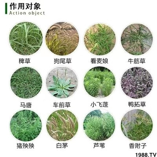 【北京鼎瑞】恭祝新老客戶鼠年大吉,新春快樂,財源滾滾!