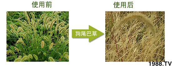 【北京鼎瑞】恭祝新老客戶鼠年大吉,新春快樂,財源滾滾!
