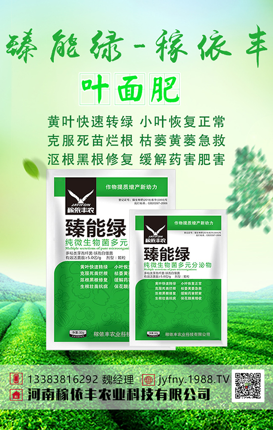 綠豆想高產(chǎn),綠豆科學上肥技術(shù)大家要清楚!