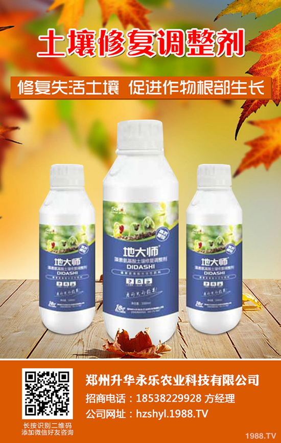 芍藥怎么種,芍藥種植技術(shù)要點有哪些?