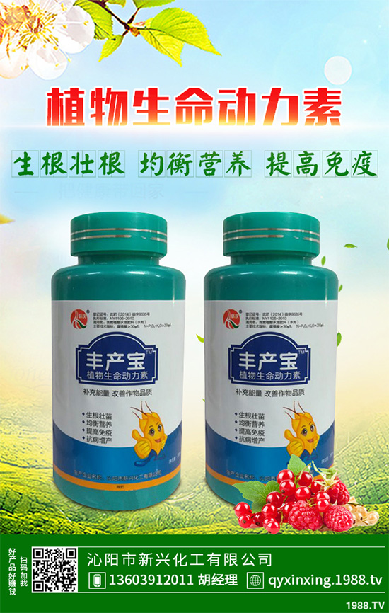 怎樣才能種好大白菜?大白菜高產種植技術要點