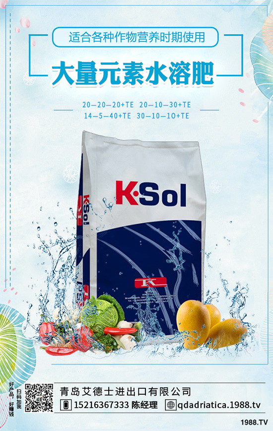 怎樣才能種好大白菜?大白菜高產種植技術要點