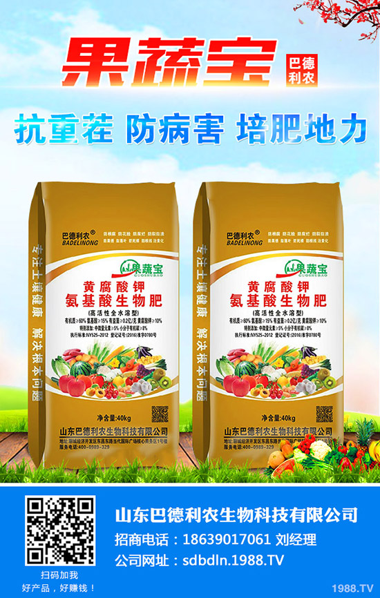 懶人1月份適合養(yǎng)殖哪些花卉?一月種哪些好看好養(yǎng)寓花卉?