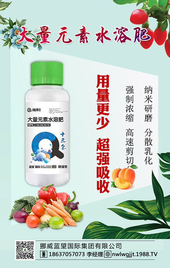 【藍(lán)望國際】祝稼寶傳奇的家人們在新的一年里闔家幸福,萬事如意!