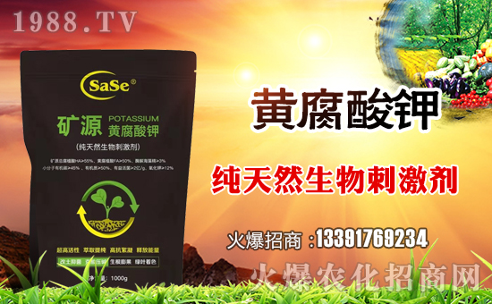 【薩斯商貿】全體員工祝全國人民在新的一年里鼠年好運,鼠錢沒完!