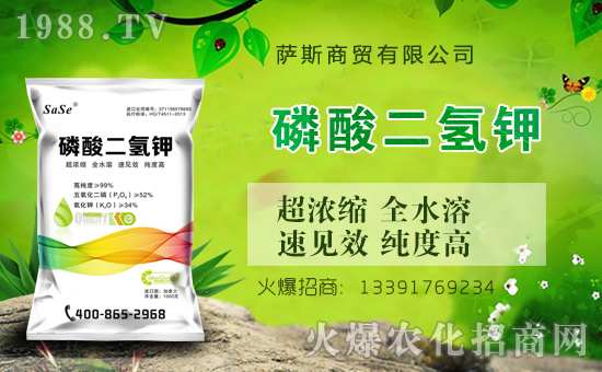 【薩斯商貿】全體員工祝全國人民在新的一年里鼠年好運,鼠錢沒完!