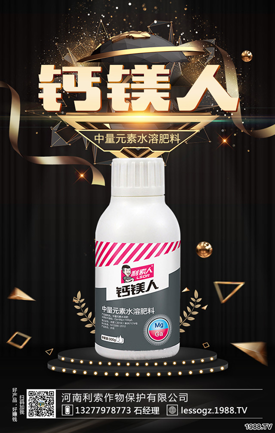 白菜價格多少錢一斤?白菜畝產多少斤?種植前景怎么樣?