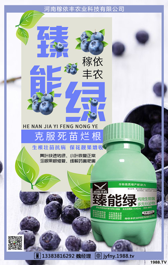 冬季大棚蔬菜如何應(yīng)對天氣變化,冬季大棚蔬菜管理要點!