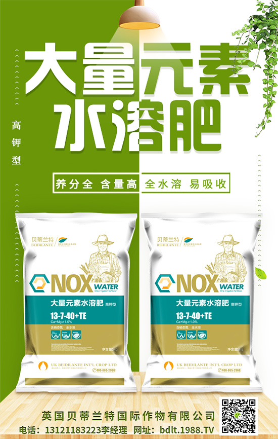 【英國貝蒂蘭特】祝您歡歡喜喜迎鼠年,萬事如意平安年!