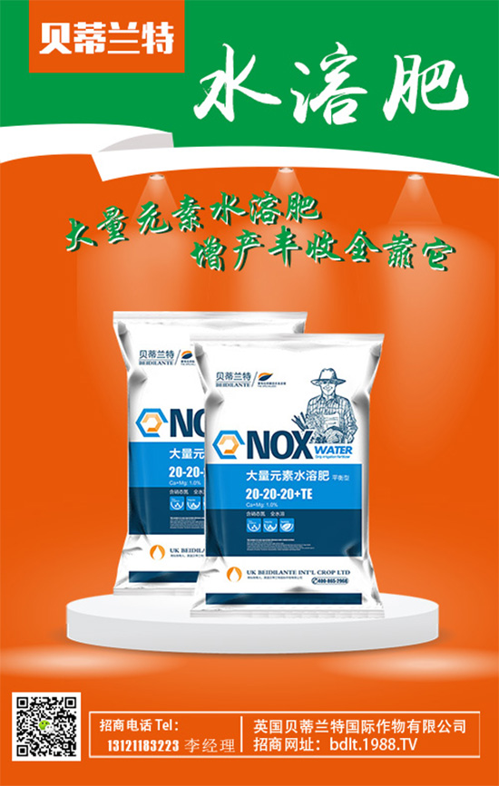 【英國貝蒂蘭特】祝您歡歡喜喜迎鼠年,萬事如意平安年!
