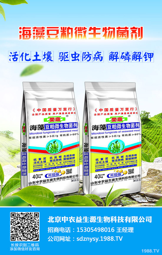 一月有什么農(nóng)事安排?1月蔬菜農(nóng)事安排指南及管理事項(xiàng)!