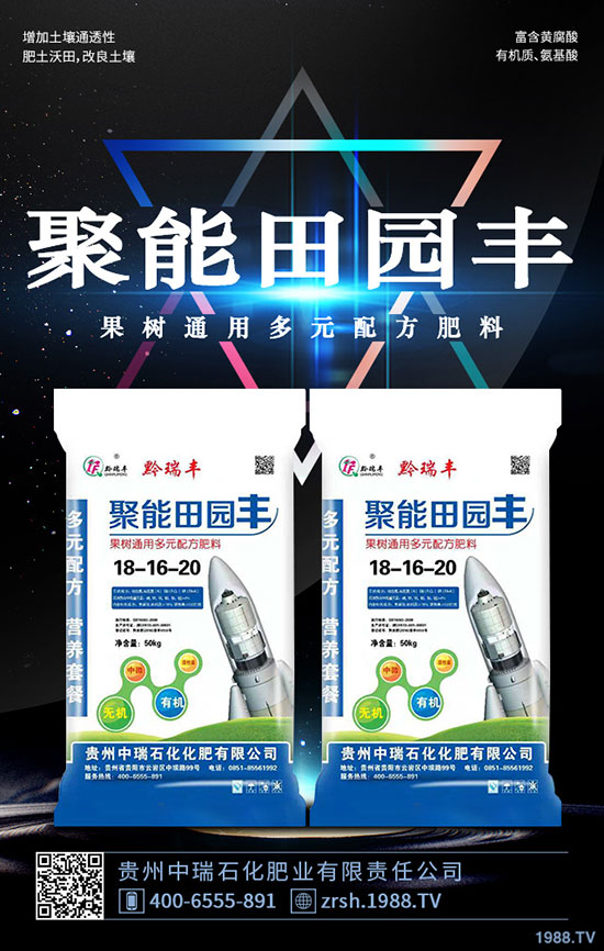 黑木耳的功效與作用,黑木耳營(yíng)養(yǎng)價(jià)值及食用禁忌!
