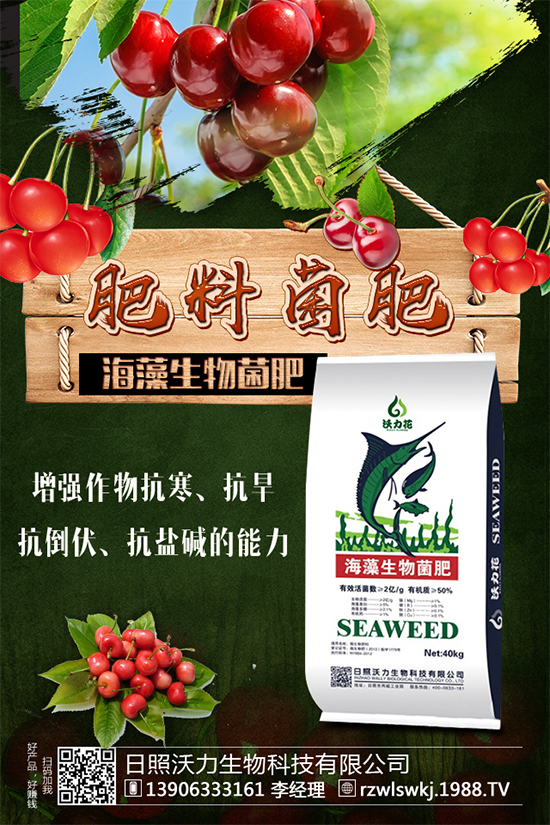 芒果種植需要哪些條件?芒果種子剝殼催芽技術!