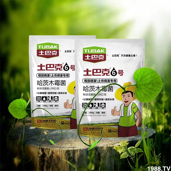 【僑基生物】祝全國(guó)朋友身體健康,萬事如意!
