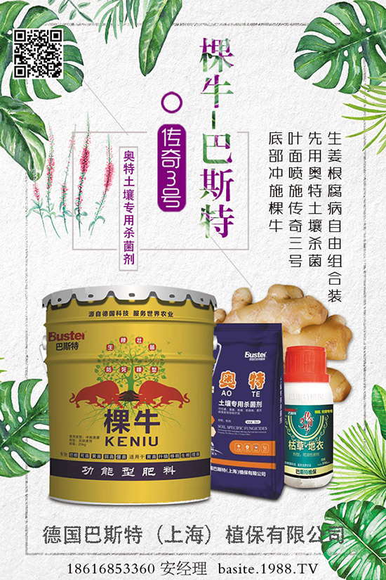 【德國(guó)巴斯特】祝愿您鼠年:朋友知心,愛人同心,永遠(yuǎn)開心,事事稱心!