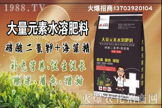 蔬菜旺長(zhǎng)有哪些危害?秋茬蔬菜控旺三要點(diǎn)!