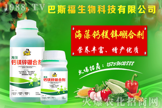 節(jié)后麥?zhǔn)辛魍ㄆ,小麥價格整體偏強運行!