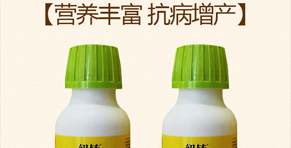 鄭州澳力通農業(yè)科技有限公司841200_02