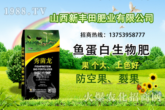 2021年小麥保護價格是多少?附2021年小麥價格預(yù)測!