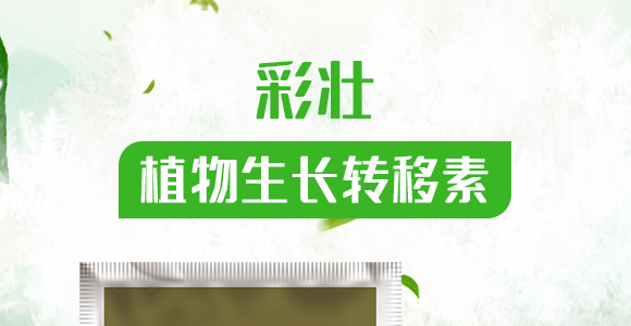 植物生長(zhǎng)轉(zhuǎn)移素-彩壯-民德利華_01