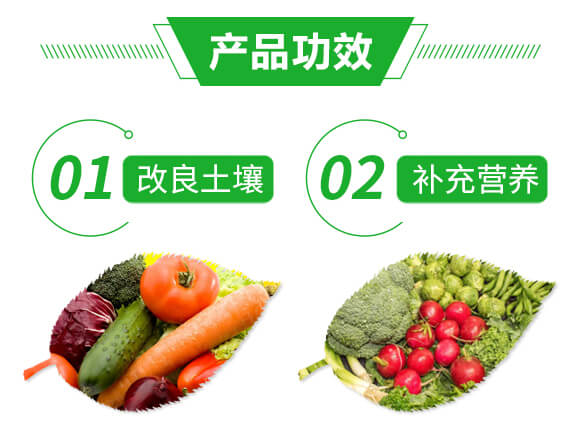 小金豆_05