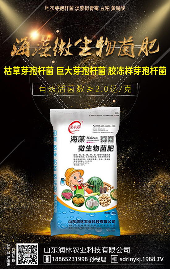 玉米春季播種和施肥技術(shù),大家了解嗎?