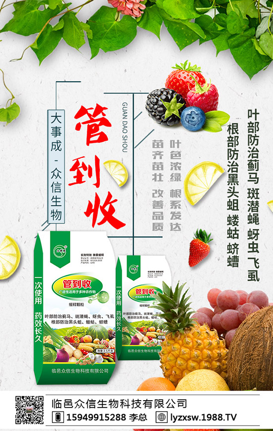 春季小麥發(fā)黃現象什么原因造成的?怎么辦呢?補救措施有哪些?