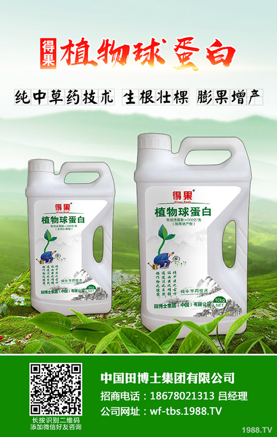 苦瓜種植有技巧,教你如何種好苦瓜!