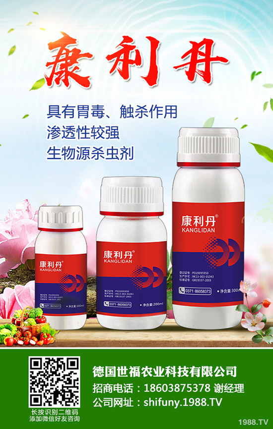西洋參種植方法,西洋參田間管理要點(diǎn)!