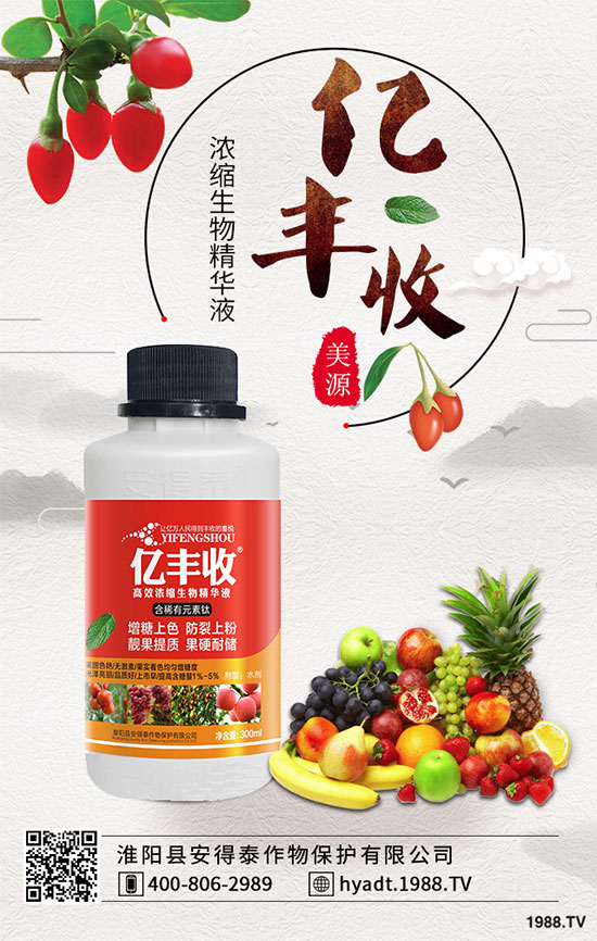 生姜高產栽培措施,生姜病蟲害防治!