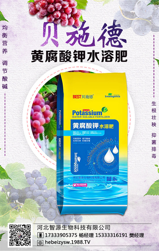 芹菜的營(yíng)養(yǎng)價(jià)值有哪些?常吃芹菜有什么好處?