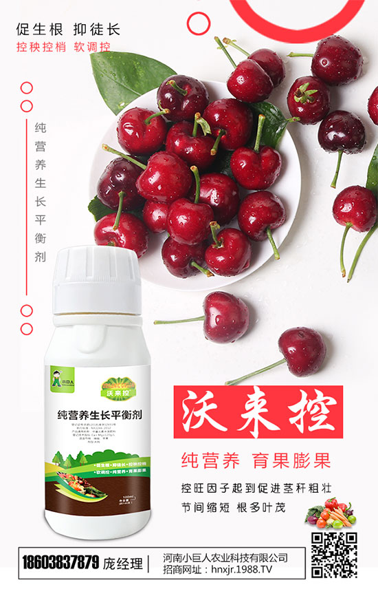 扁豆的品種有哪些?扁豆的生長習(xí)性及種植時(shí)間!