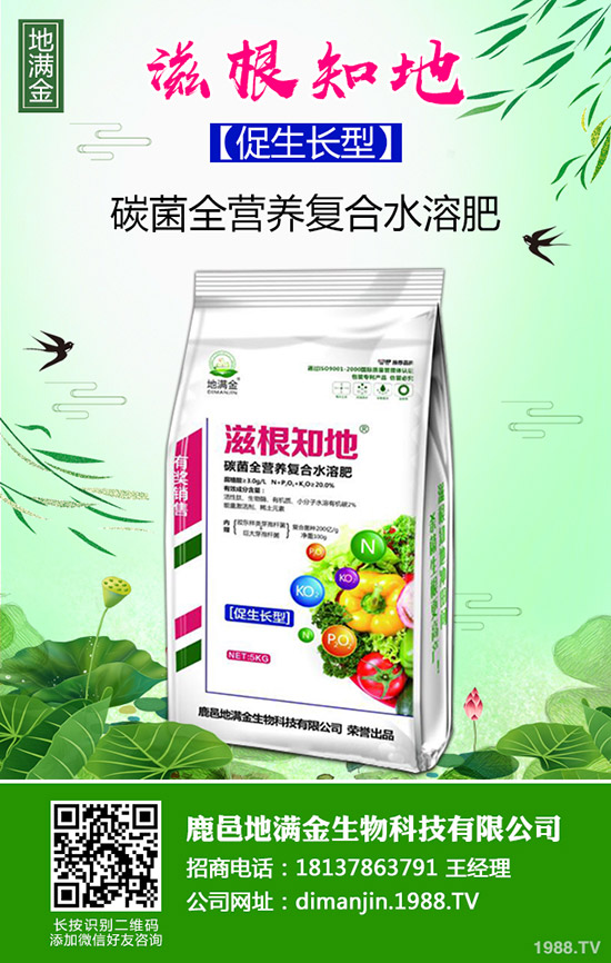 供需錯(cuò)配才是尿素漲價(jià)的原因?2020-3-6近期最新尿素行情走勢(shì)!