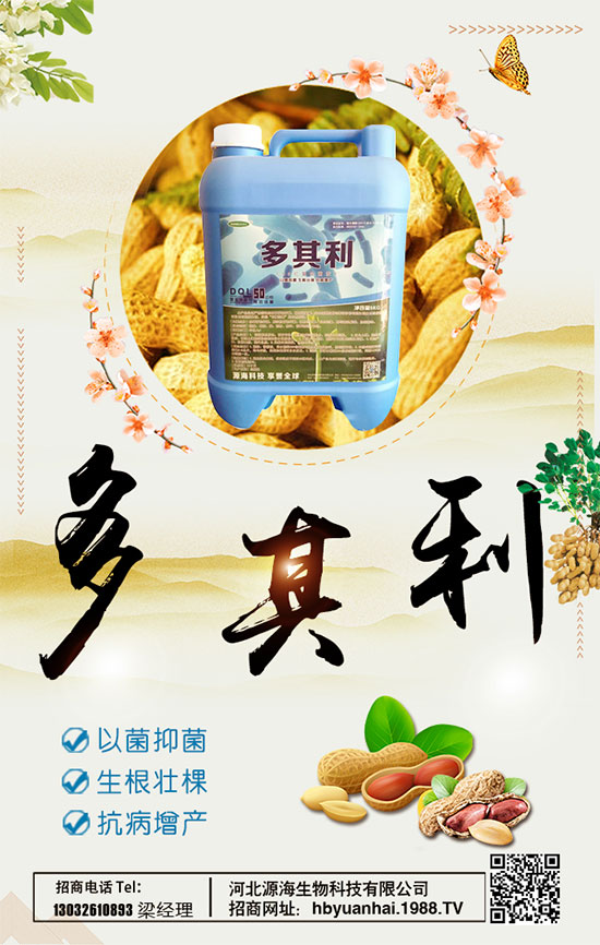 洋蔥什么時間種植好?洋蔥種植想高產(chǎn)怎么種植?