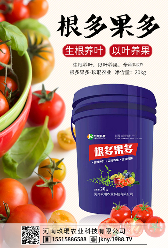 大棚韭菜該怎么種植?韭菜大棚管理技術(shù)要點(diǎn)