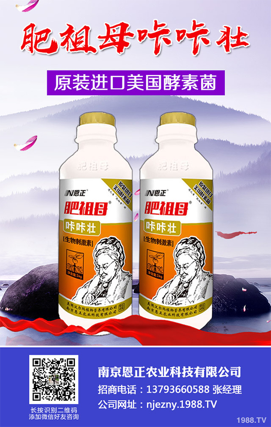 春花生為何不能播種過(guò)早或過(guò)晚?播種時(shí)間應(yīng)該在4月還是5月?答案來(lái)了!