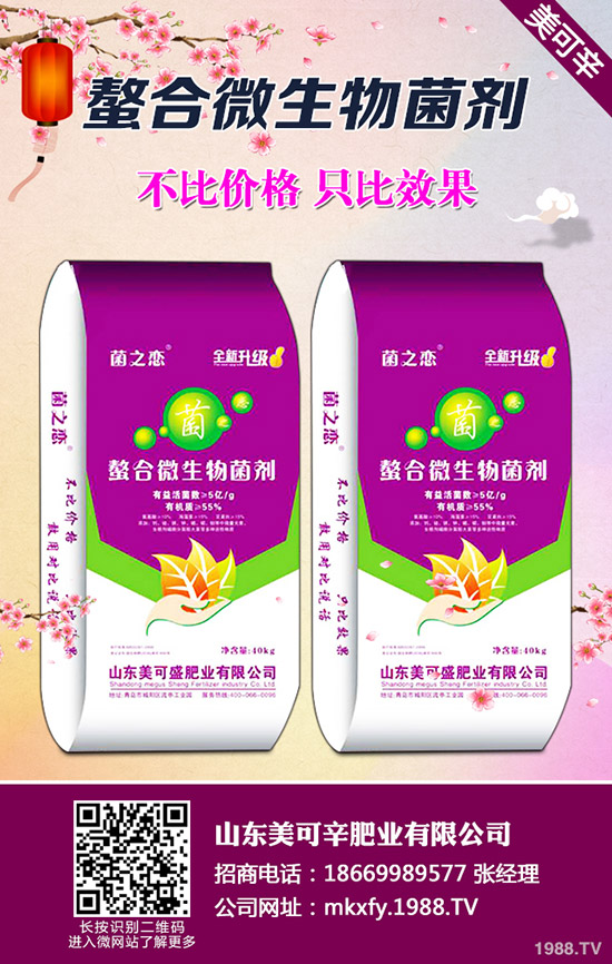 小麥中后期常見(jiàn)的病蟲(chóng)害有哪些?如何防治?打什么藥?小麥中后期病蟲(chóng)害防治技術(shù)!