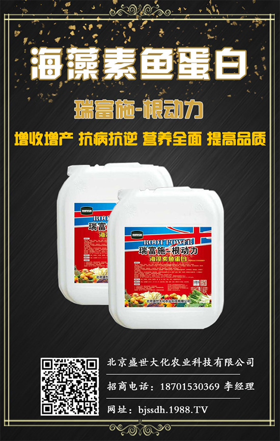 梔子花什么時(shí)候可以采收?梔子果實(shí)采收及加工!