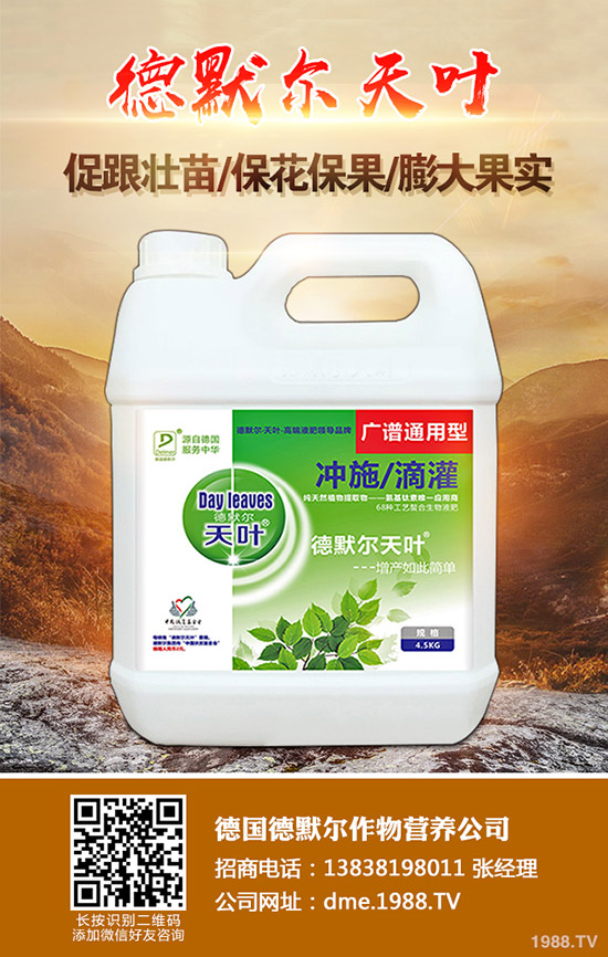 長壽花怎么施肥,學(xué)會這幾招,輕輕松松開滿盆!