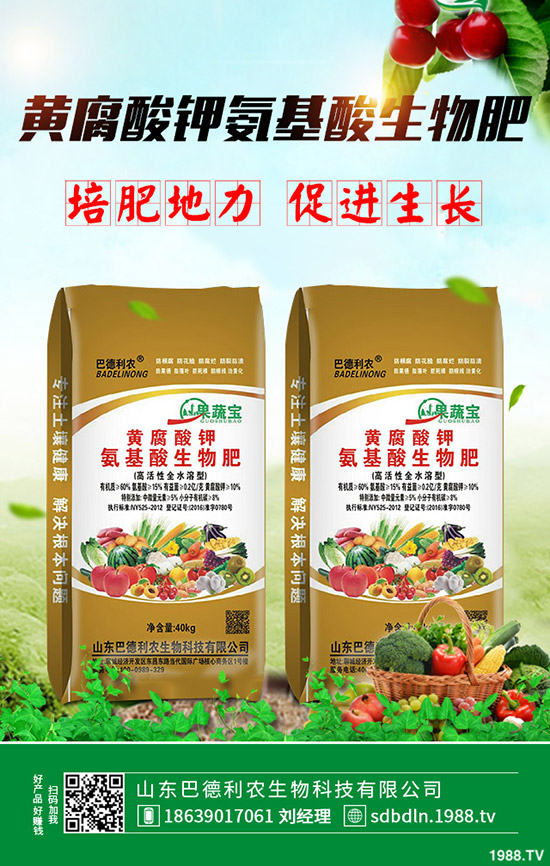 小麥是晚收割好?還是早收割好?如何判斷合理小麥收割時期?小麥成熟的標志!