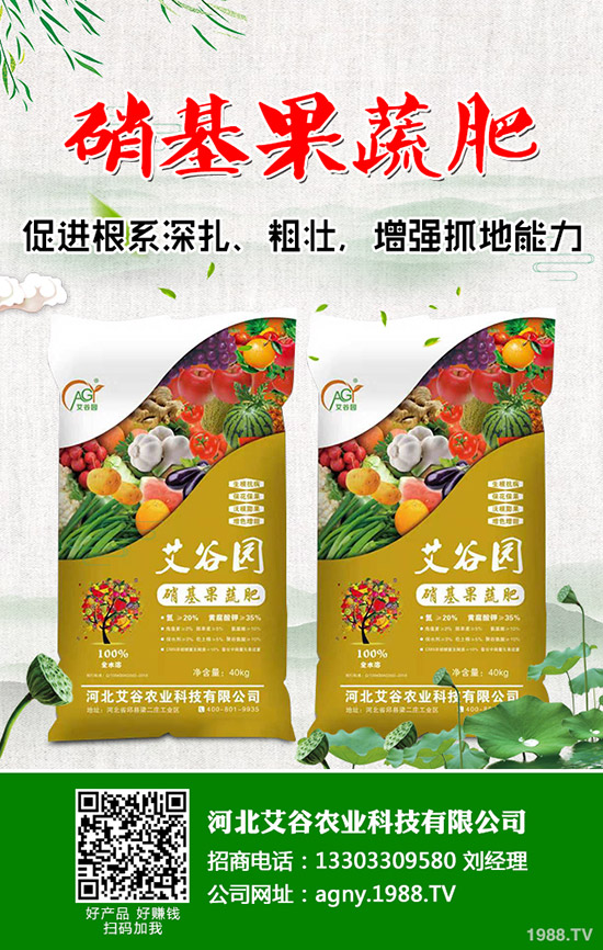 五一假期后,鉀肥行情開始回轉!2020年5月11日最新鉀肥價格早報!