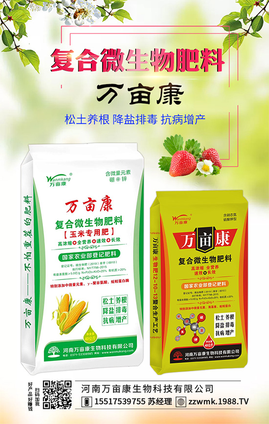 白掌不開(kāi)花是什么原因?白掌不開(kāi)花解決措施!