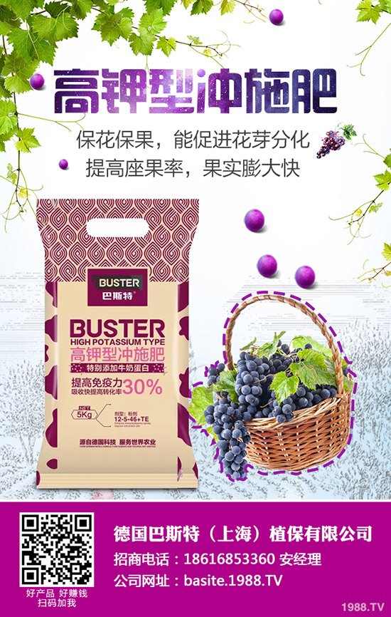 根外施肥效率高,掌握方法很重要!水稻根外追肥技術