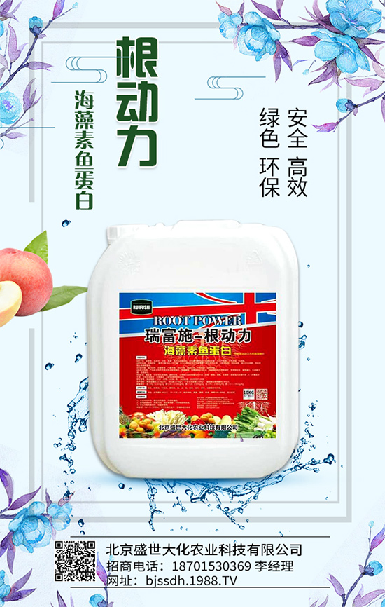 蘆筍有什么營養(yǎng)價(jià)值?吃蘆筍有哪些好處?