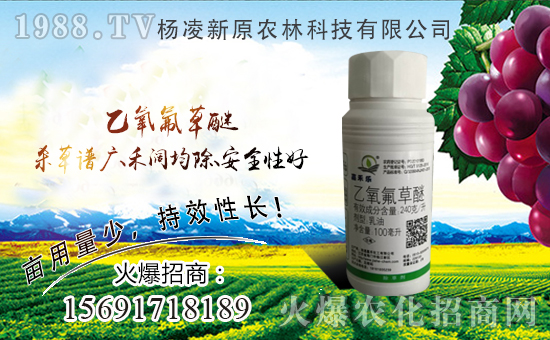 ԭr(nng)״κs1988.TVyֹ(chung)