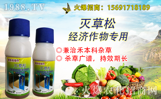 ԭr(nng)״κs1988.TVyֹ(chung)죡