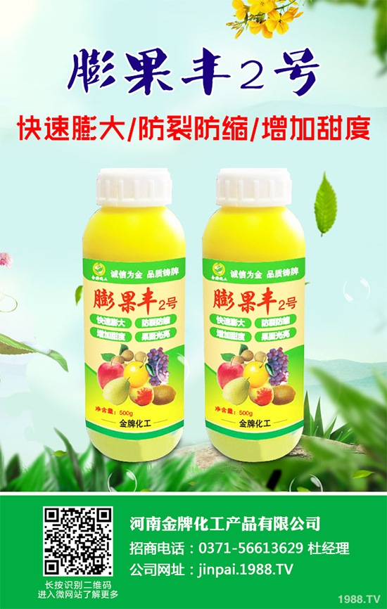 黑櫻桃該如何栽培?怎樣管理?黑櫻桃高產栽培管理技術