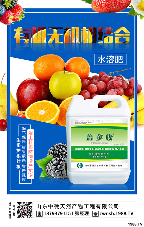 一銨價格